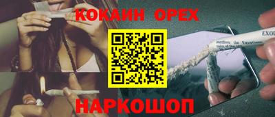 прущие грибы Камышлов