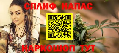 гидра Кандалакша