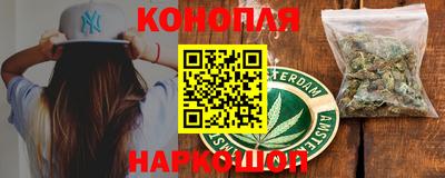 прущие грибы Камышлов