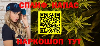 гидра Кандалакша