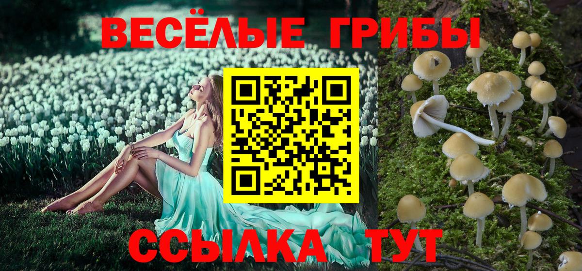 Псилоцибиновые грибы мухоморы Обнинск